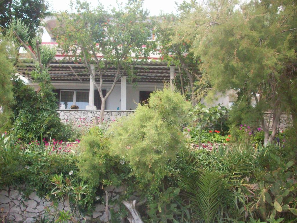Apartments Tomovic Λομπάρδα Εξωτερικό φωτογραφία
