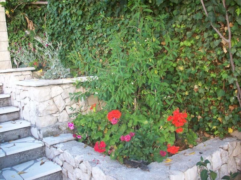 Apartments Tomovic Λομπάρδα Εξωτερικό φωτογραφία
